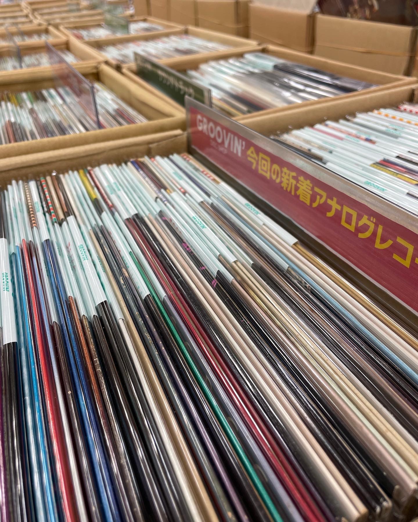2022年夏の陣スタート！まずは博多から  レコードCD DVD 20220703